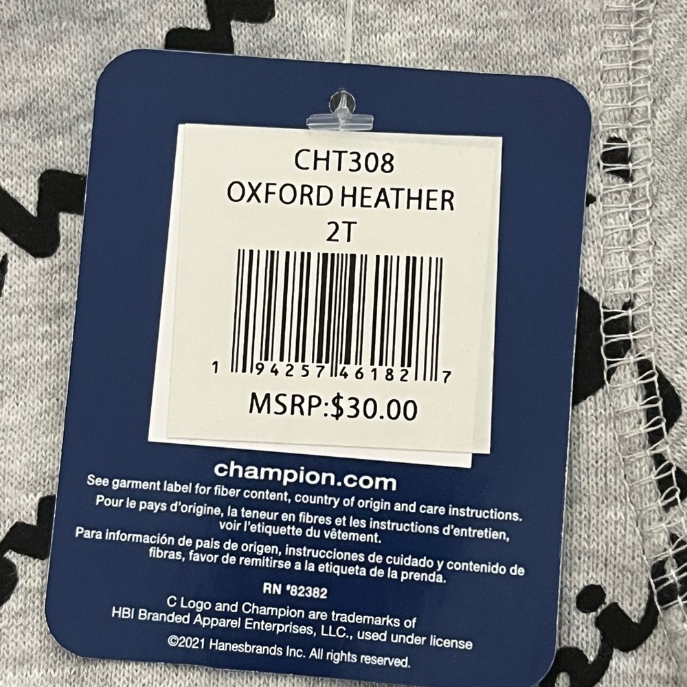 NWT 2T Champion Gray Logo Sweatshirt Crew Neck Long Sleeve - Picture 3 of 4